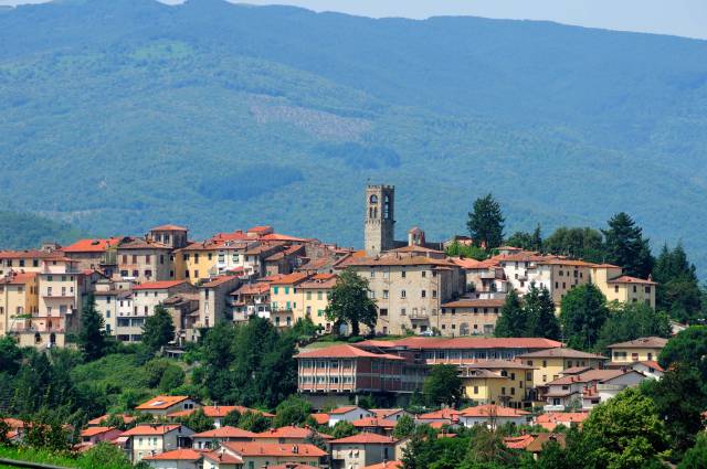 bibbiena arezzo
