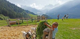 Vacanze alternative: andiamo in fattoria gallo rosso maso