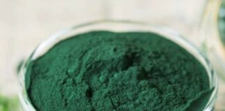 Benefici e usi dell’alga spirulina, toccasana di salute e benessere benefici alga spirulina